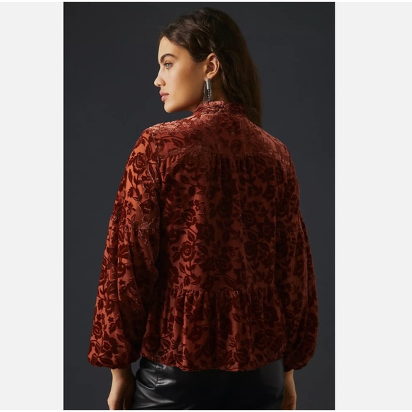 Anthropologie Rust Floral Velvet tie neck Blouse Size Small - Picture 3 of 12